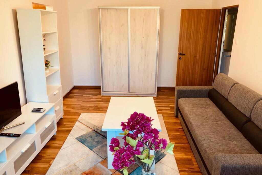 Joy City Stay Iasi 15 Timişoara Eksteriør bilde
